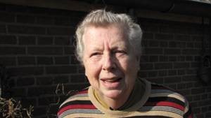 Hanna Lutke Willink